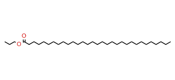 Propyl hentriacontanoate